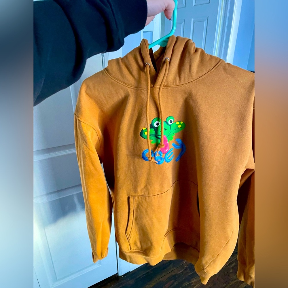 OBEY frog hoodie